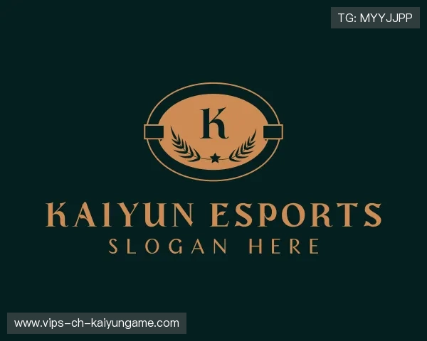 介绍开云电竞入口