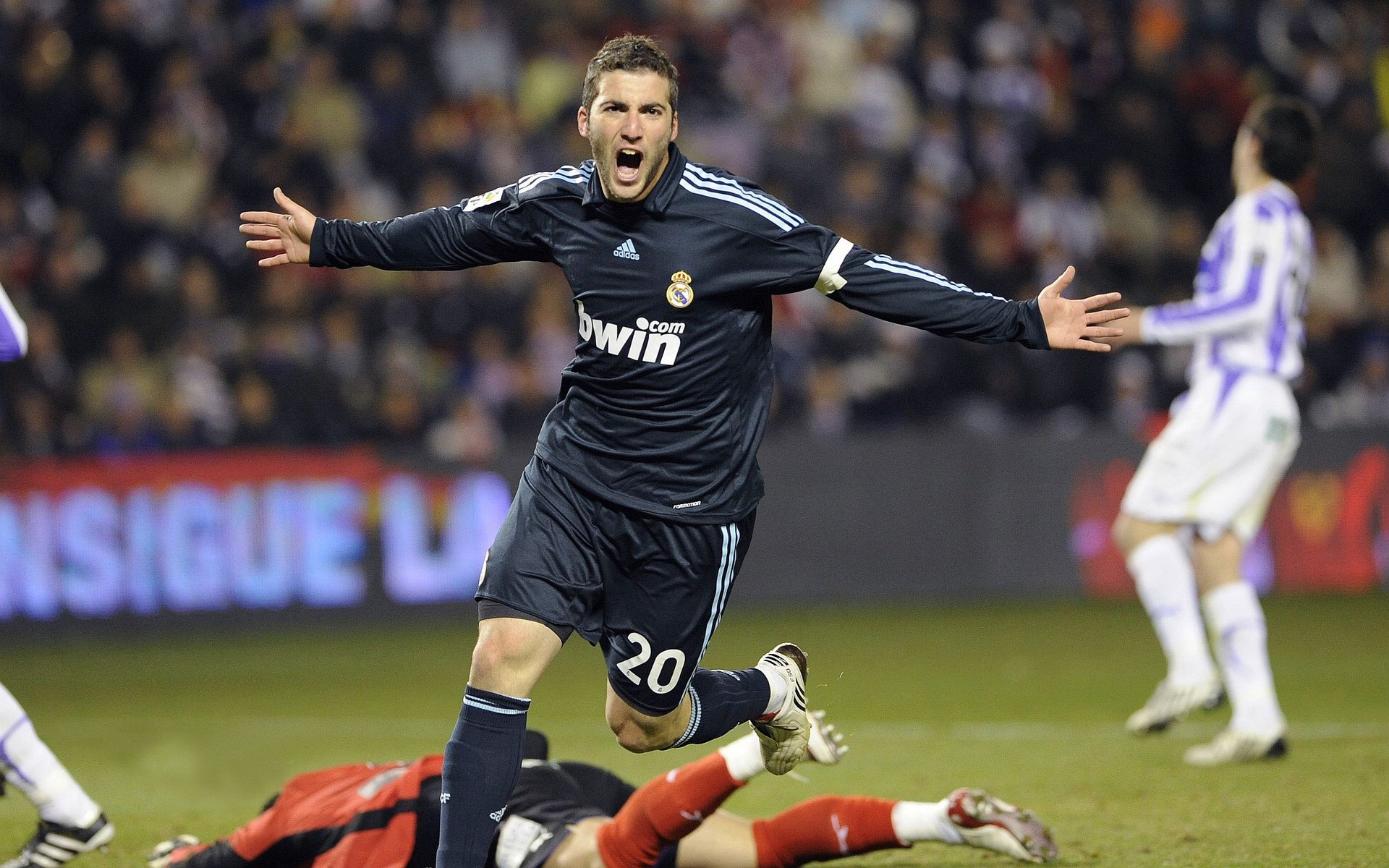 MMA赛事全球推广，mma举办时间